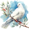 🕊️