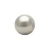 🐚