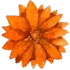 🌼