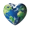 🌍