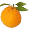 🍊