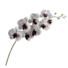 💐