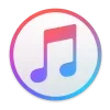 🎵