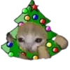 🎄