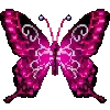 🦋