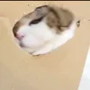 😳
