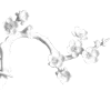 🌸