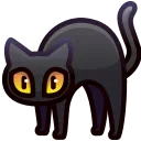 🐈‍⬛