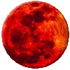 🌕