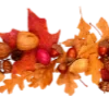 🍁