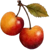 🍒