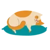 🐱