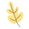 🍁