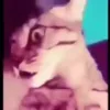 🥴