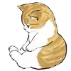 🐱