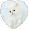 🐈