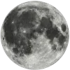 🌕