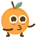 🍊