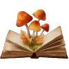 📚
