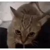 🙂