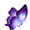🦋
