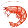 🍤