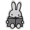 📔