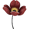 🌷