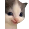 😊