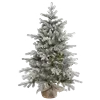 🌲