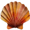 🐚