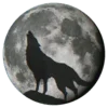 🐺