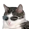 😎