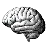 🧠