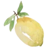 🍋