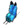 🦋