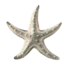 ⭐️