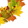 🍁
