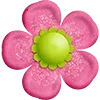 🌸