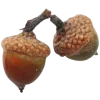 🥜