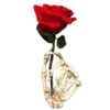 🌹