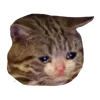 😭