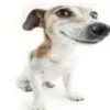 😆