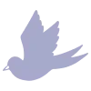 🕊