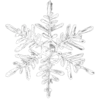 ❄️