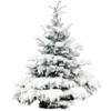 🎄