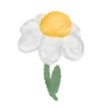 🌷