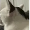 😧