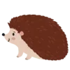 🦔