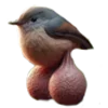 🩴